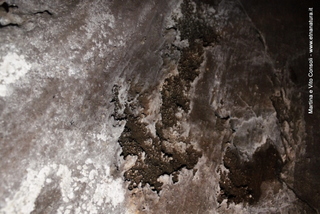 otta di Serracozzo-05-08-2014 12-09-01